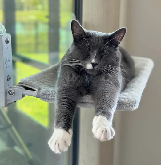 Inklapbare Kattenhangmat