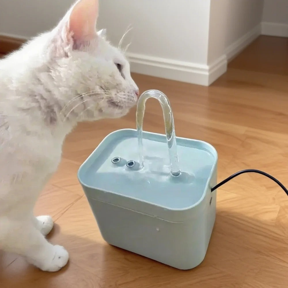 Kattenkraan