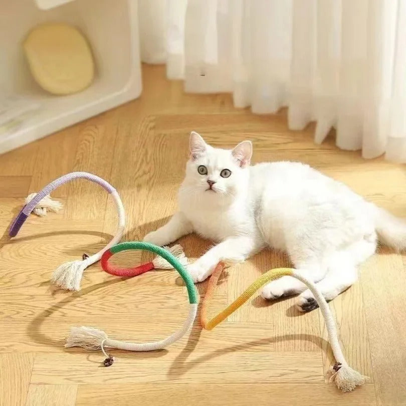 Miauwtouwtjes