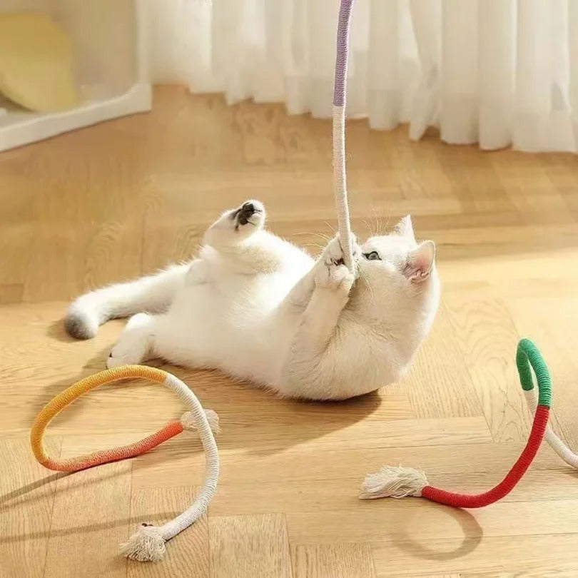 Miauwtouwtjes