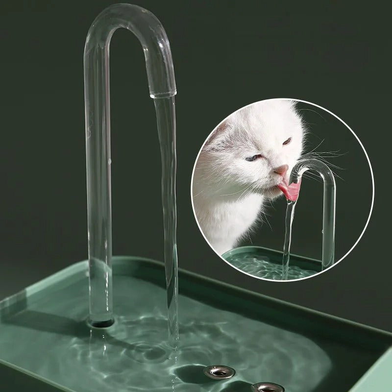 Kattenkraan