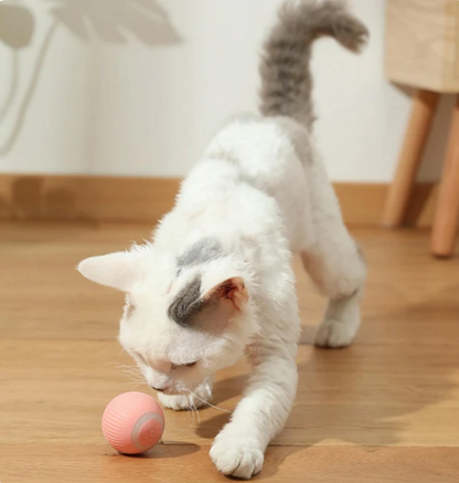 Interactieve HappyBall