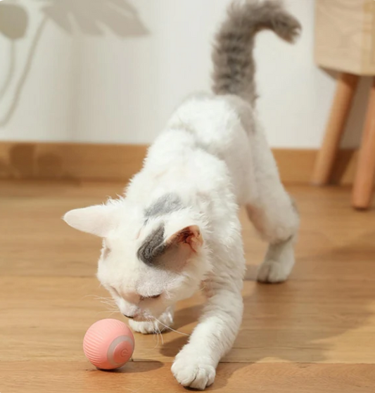 Interactieve HappyBall