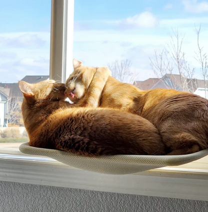 Inklapbare Kattenhangmat