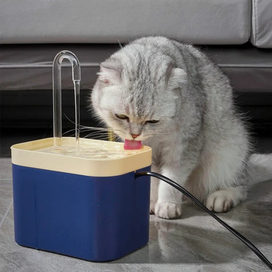 Kattenkraan