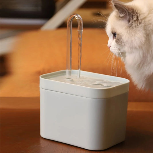 Kattenkraan