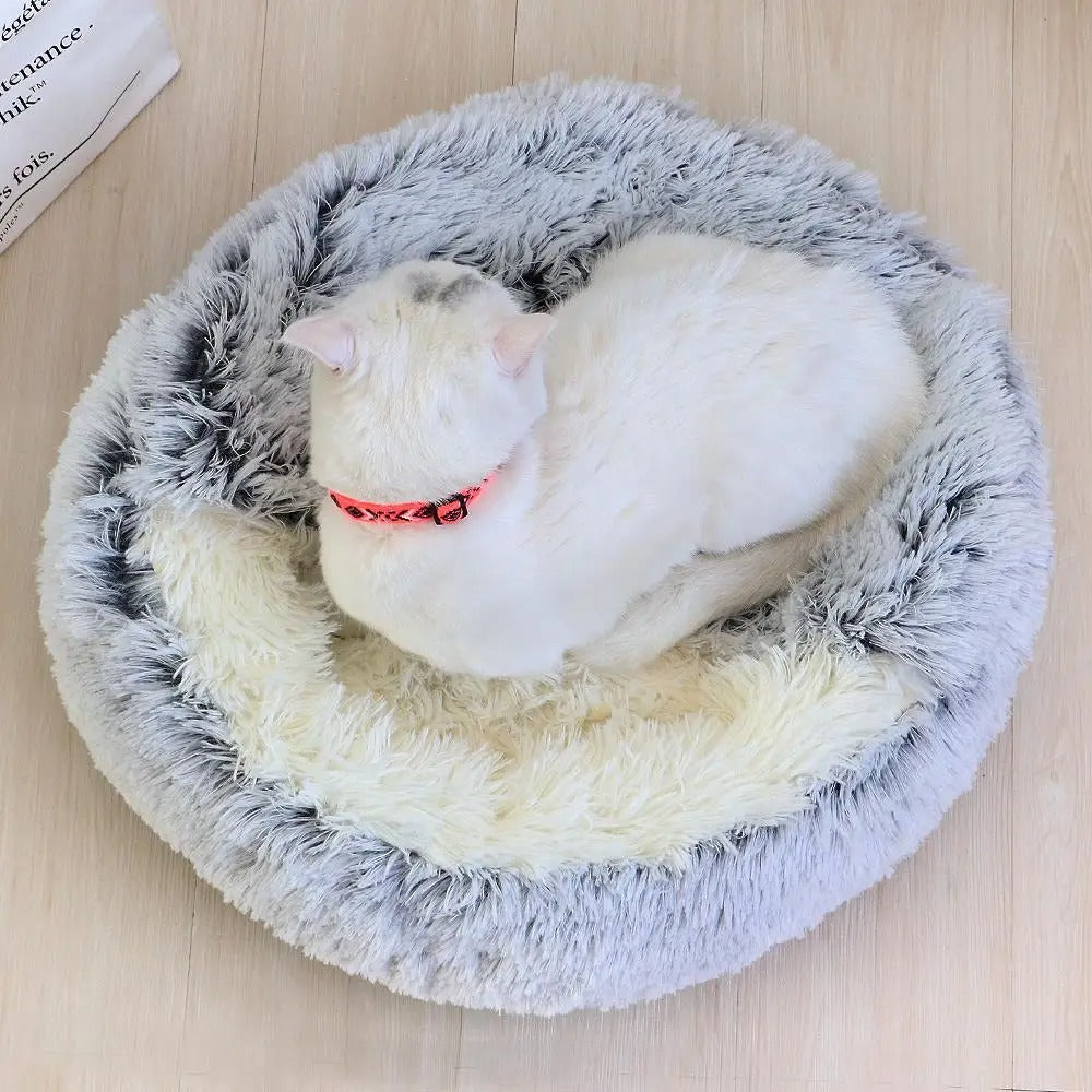 Rustgevende Kattengrot