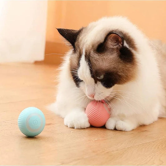 Interactieve HappyBall