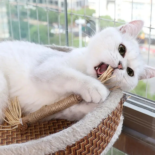 Stressverlagende Matatabi Stokjes